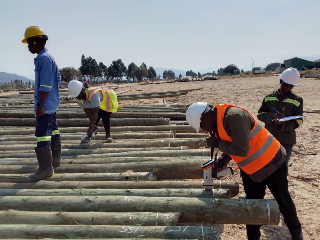 Voltexa team inspecting utility poles